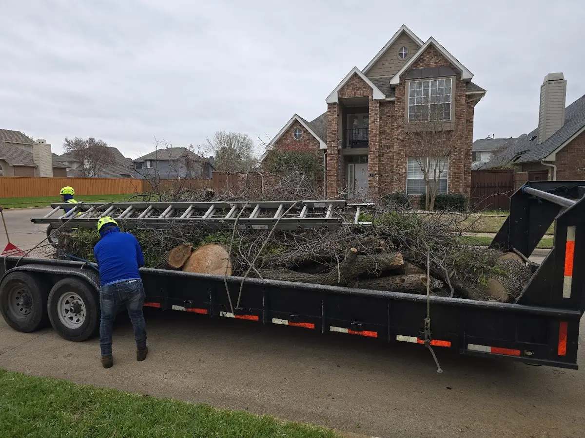 Expert Crown Reduction with proper safety equipment in Meadowbrook